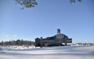 Wandeling op de Ginkelse heide en de Sysselt in de winter