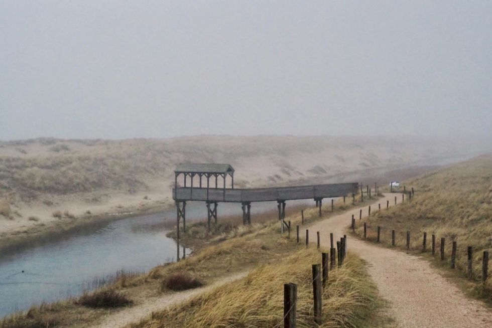 Fietsroute Langs De Bollenvelden In Noord Holland Grijsopreis Nl