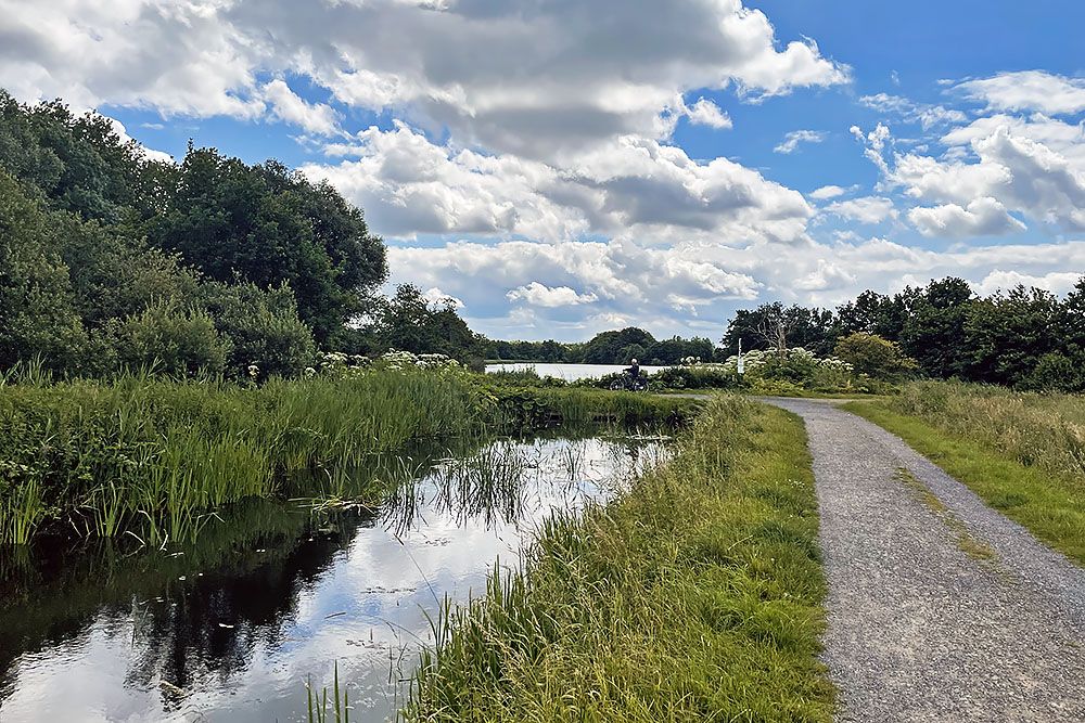 Wolddelen aan etappe 3 van het Pieterpad