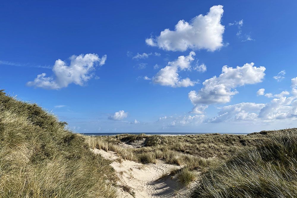 Duinen met de zee