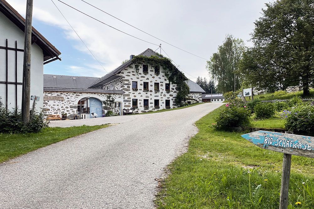 Kruidenwandeling in de regio Mülviertel