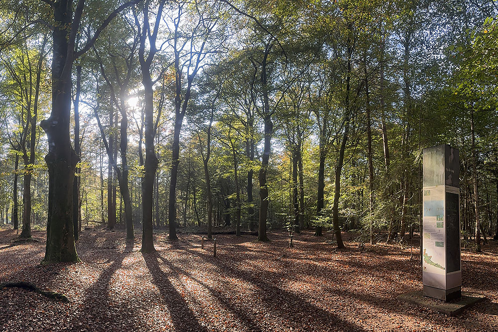 Top van de Amerongse Berg