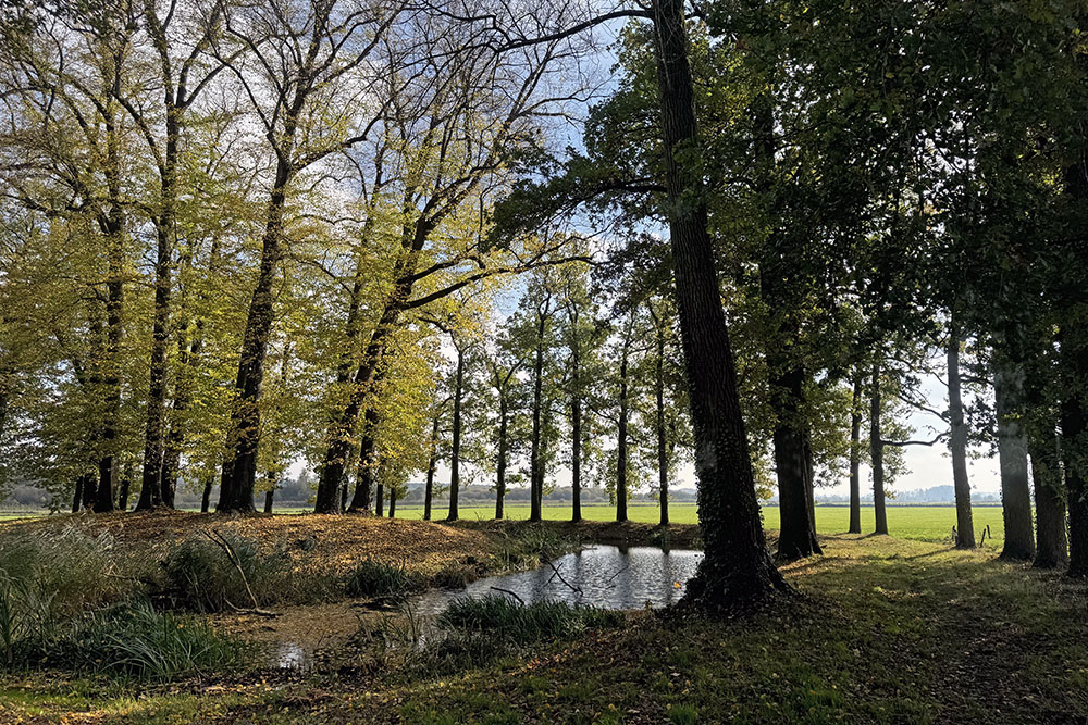 Kasteel Lievendaal