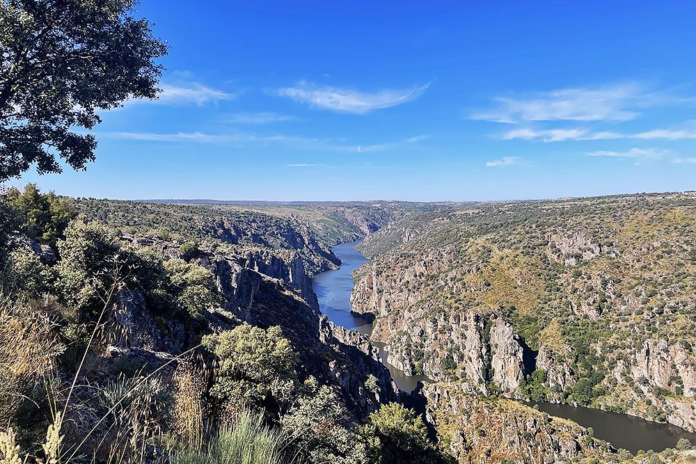 Uitzicht op de Duero