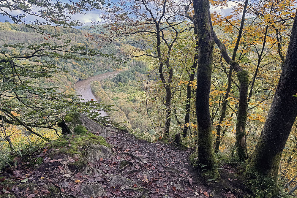 Laddertjeswandeling