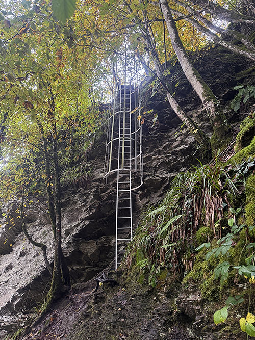 ladder tijdens de laddertjeswandeling