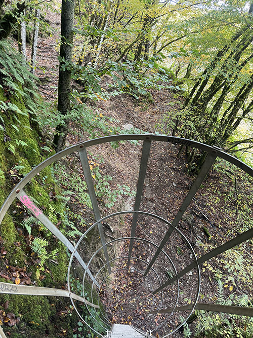 ladder tijdens de laddertjeswandeling