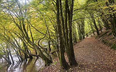 Avontuurlijke laddertjeswandeling in het Ardense Rochehaut