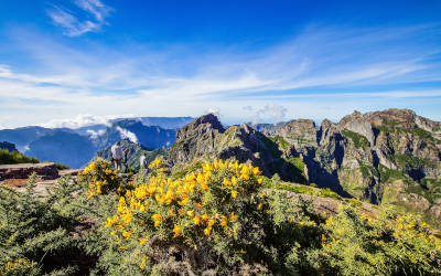 Madeira: het eiland waar natuur en cultuur samenkomen