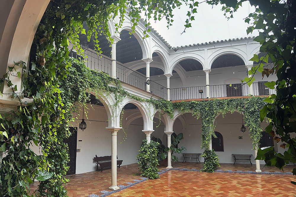 Patio 