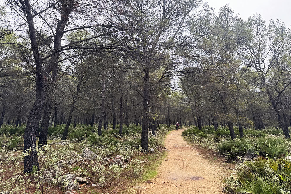 Fietsen in de provincie Córdoba