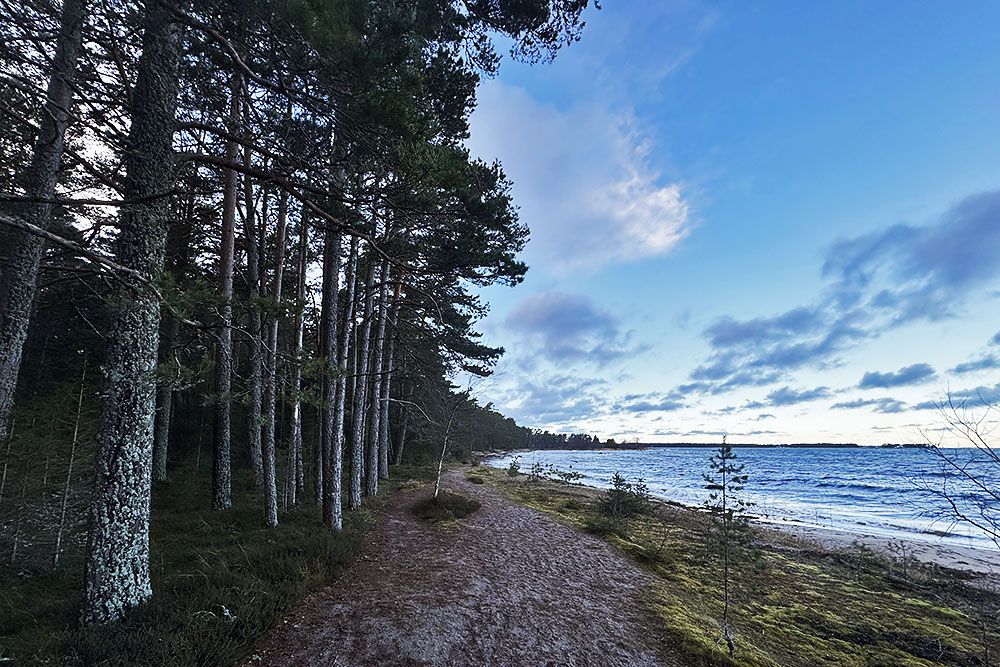 Kust in Lahemaa Nationaal Park