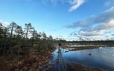 Wandelen in Lahemaa, het oudste nationale park van Estland