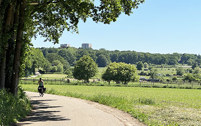 Terrasroute rond Rhenen – heerlijk zomerse fietstocht
